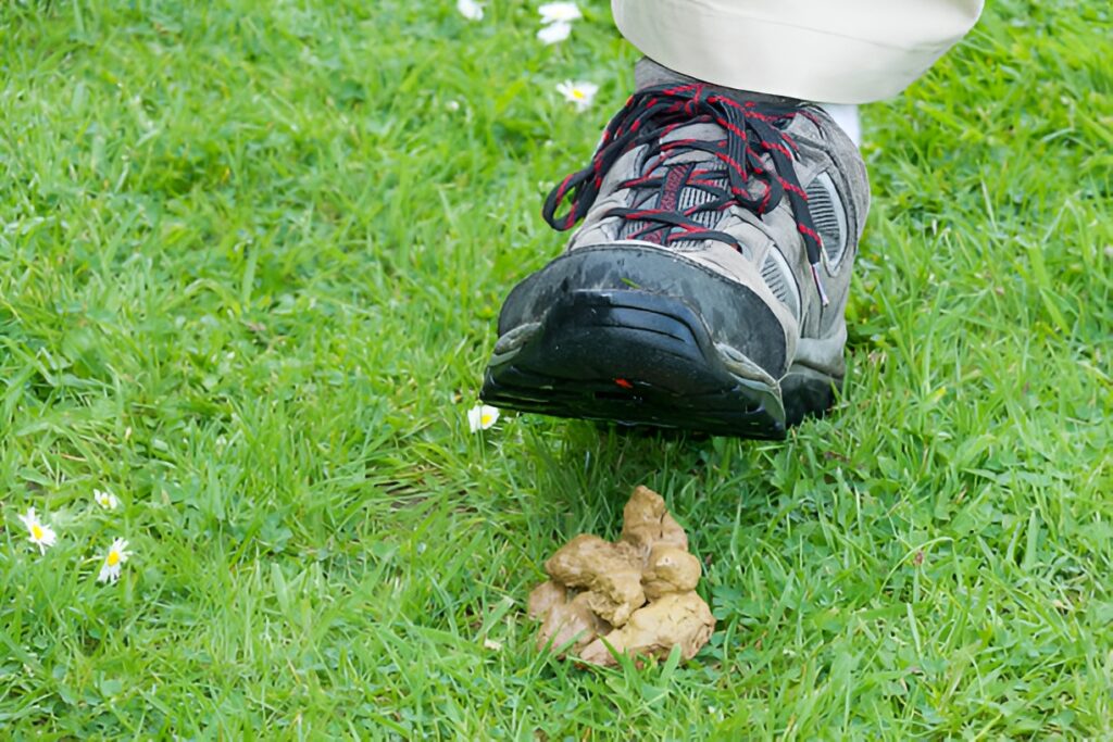 Strangest Superstitions: Stepping in Dog Poop: Foot Matters