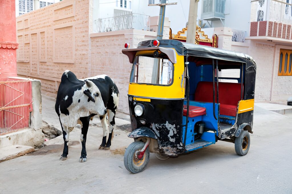 Things You Can Only Experience in Certain Countries: India