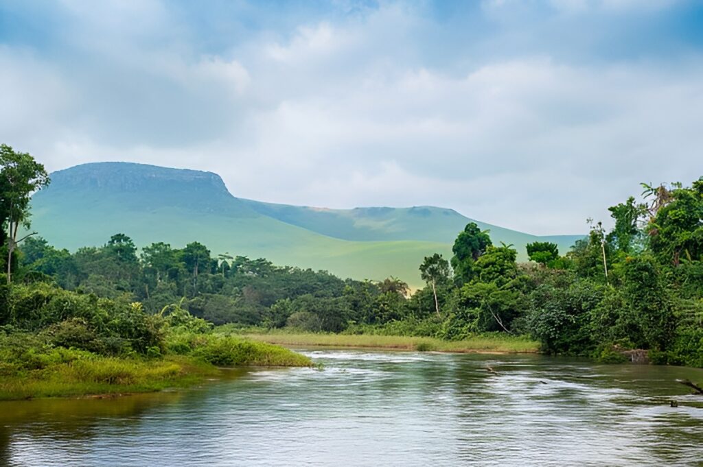 Wildlife Hotspots: Democratic Republic of Congo