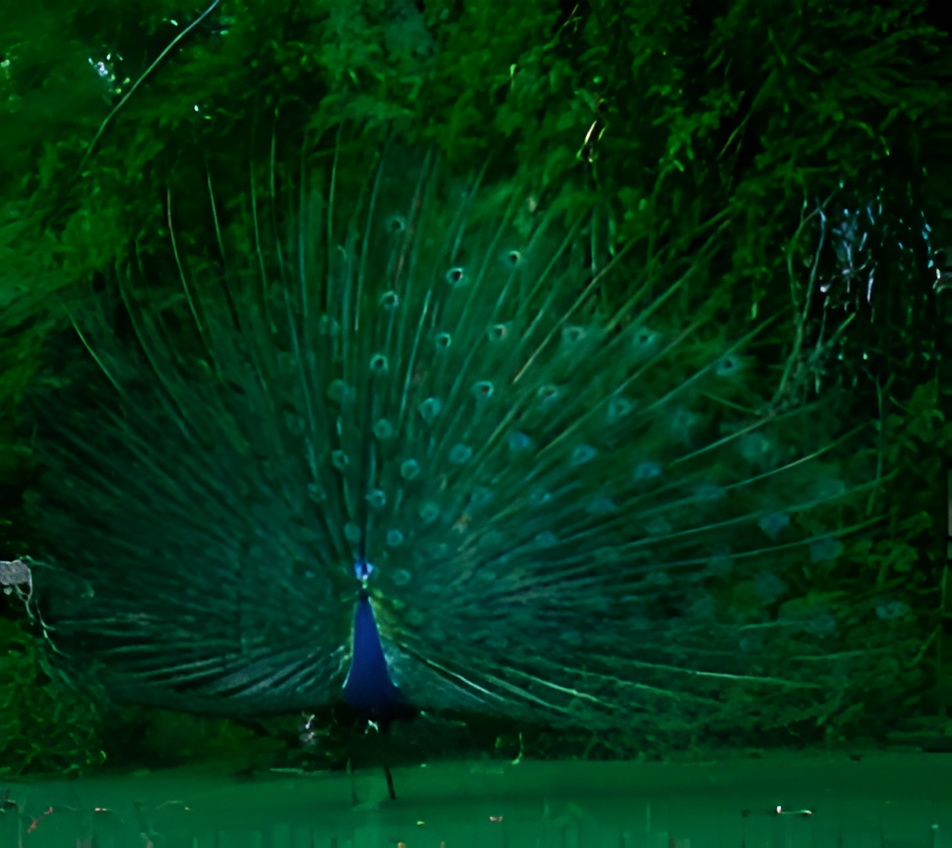 National Mascot of India