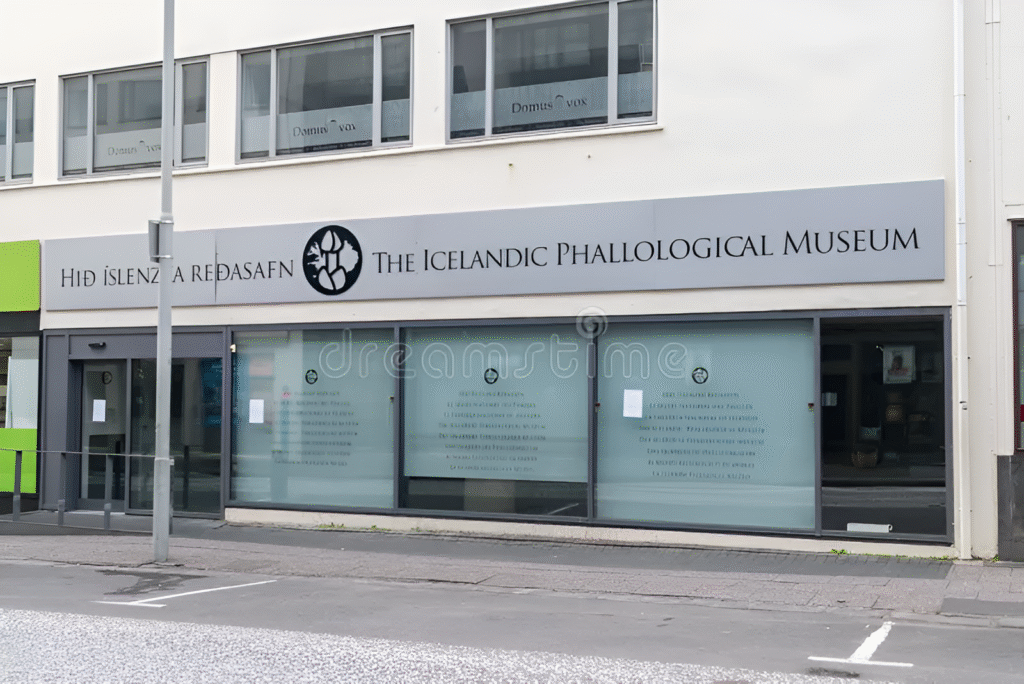 Strangest Museums: The Icelandic Phallological Museum